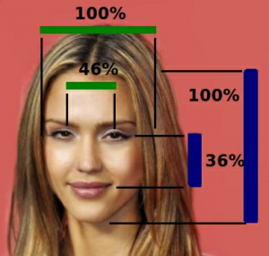 Pretty actress Jessica Alba's Face with marks measuring for symmetry & proportions.