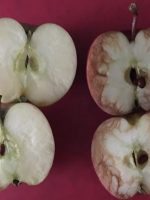 Two apples split in half.