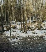 Bundy's sacred killing fields