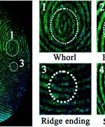 Latent fingerprints create Silent Witnesses
